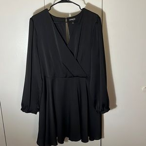 Express V-Neck Dress